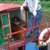 'Sandpiper' Narrowboat