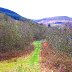 Footpath beside Nant Dar