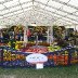 DSCF0747