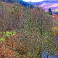 Nant dar, Mynydd Maendy