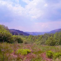 Tylecoch towards Treherbert