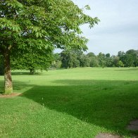 Singlton Park at Swansea