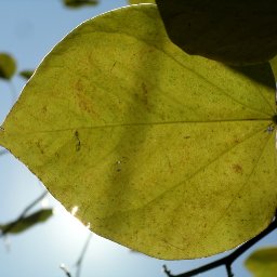 temp_ning_photo_file.jpg