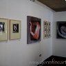Denbigh Art Gallery 8