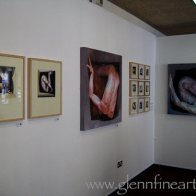 Denbigh Art Gallery 8