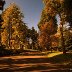 Aberdare Park (1)