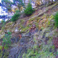 Overgrown quarry above Treorchy