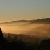 Morning mist Treherbert (20)