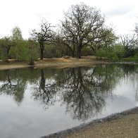 Walthamstow Park