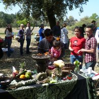 Water to Wine Offering