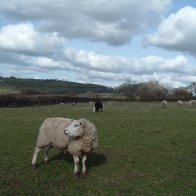 carreg cennen 040