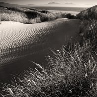 Dune Warmth