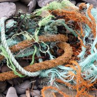 Debris , strands , Llangrannog © Diane Walkey 2010