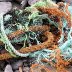 Debris , strands , Llangrannog © Diane Walkey 2010