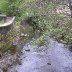 Canal in Mytholmroyd