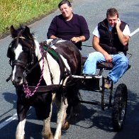 Pony Express
