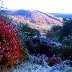 25 10 10 FROST 028