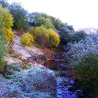 25 10 10 FROST 029