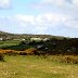 3 Cliffs Bay Gower Swansea (16)