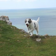 Samantha @ 3 Cliffs Bay