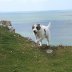 Samantha @ 3 Cliffs Bay