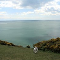 Sam @ 3 Cliffs Bay Gower Swansea (7)