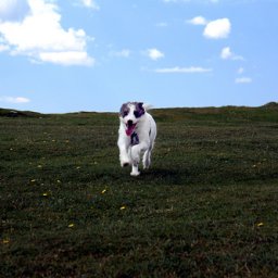 temp_ning_photo_file.jpeg