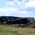 3 Cliffs Bay Gower Swansea (18)