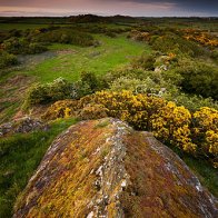 Ancient Stones Covered