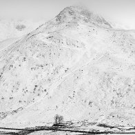 Old Farm & Y Garn