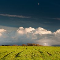 Moonrise Over A Green Field