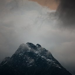 temp_ning_photo_file.jpeg