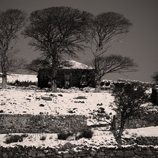 temp_ning_photo_file.jpeg