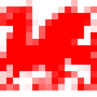 temp_ning_photo_file.png