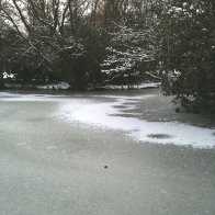 Singleton Boating Lake