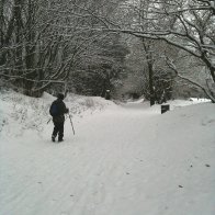 Walker on Oystermouth Road Path,at junction w Singeton Hosp.