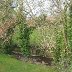 Dinas Brook  border between Wales and England
