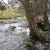 Afon Aber near Garth Celyn