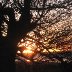 Sunset over the Menai Strait