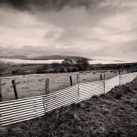 Fog in Farmland