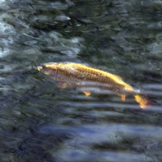 temp_ning_photo_file.jpeg