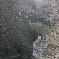 St Fagans March (99)