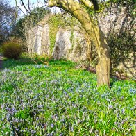 St Fagans March (101)