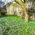St Fagans March (101)