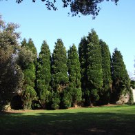 St Fagans March (110)