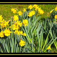 St Fagans March (112)