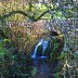 St Fagans March (116)