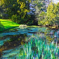 St Fagans March (133)