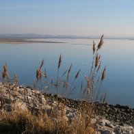 Spring 2011 - Looking back towards Gower