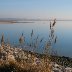 Spring 2011 - Looking back towards Gower